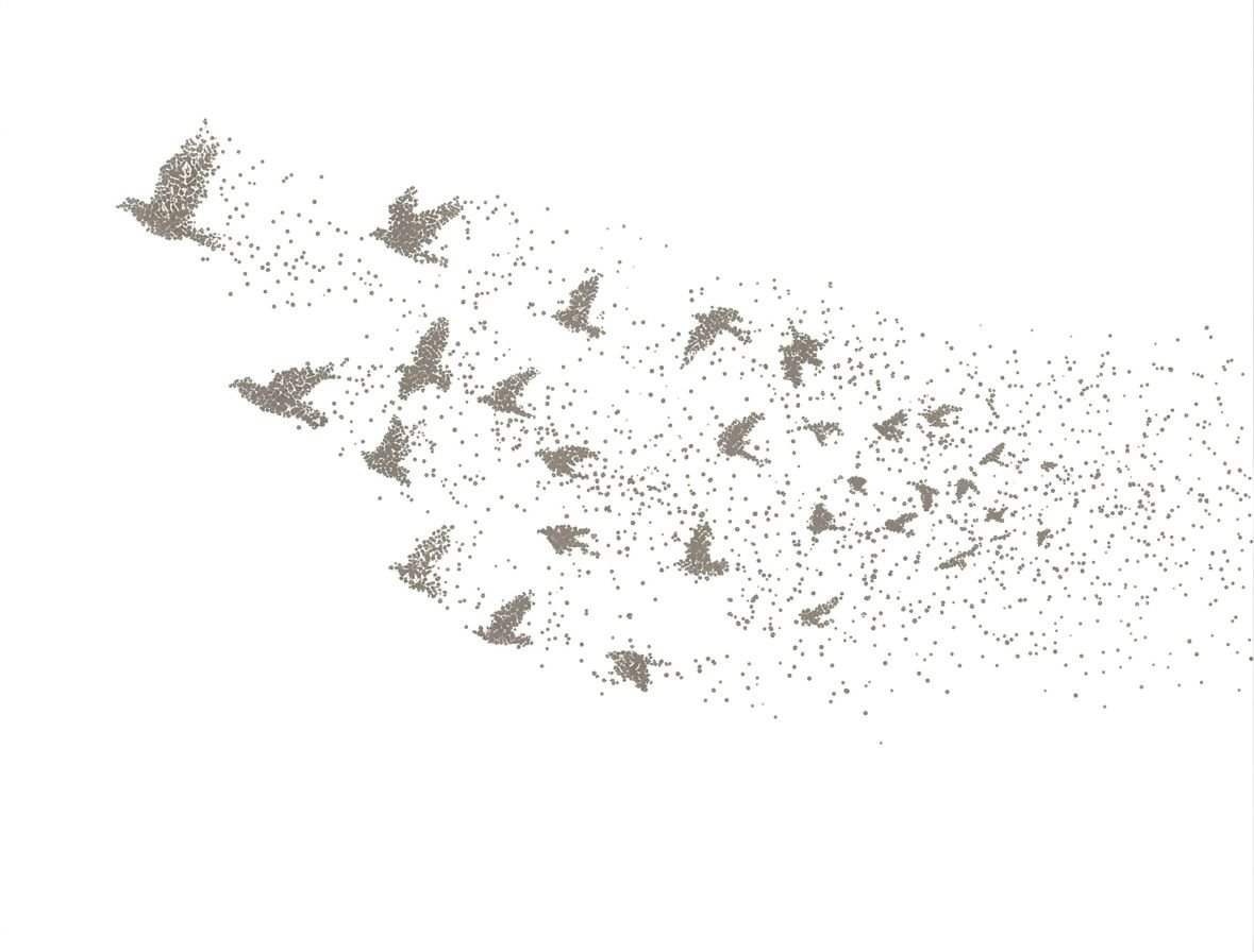 A flock taking flight